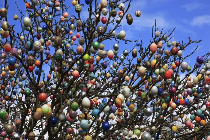 Framed Print : Many Colourful Easter Eggs on a Tree Print Framed Print : Many Colourful Easter Eggs on a Tree Print
