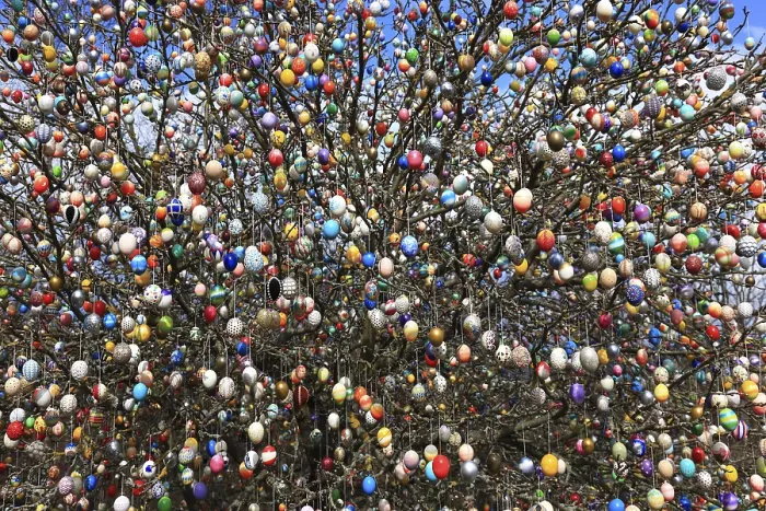 Framed Print : Colourful Easter Eggs on a Tree Print Framed Print : Colourful Easter Eggs on a Tree Print