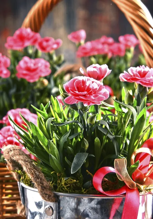 Framed Print : Composition with Bouquet of Carnations Print Framed Print : Composition with Bouquet of Carnations Print