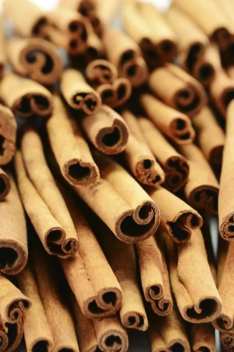 Framed Print : Composition with Cinnamon Sticks Print Framed Print : Composition with Cinnamon Sticks Print