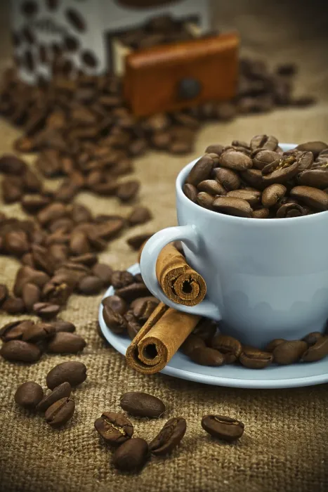 Framed Print : Coffee Bean and Cup Composition Print Framed Print : Coffee Bean and Cup Composition Print