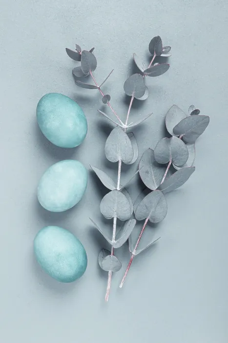 Framed Print : Eucalyptus Leaves and Turquoise Eggs Print Framed Print : Eucalyptus Leaves and Turquoise Eggs Print
