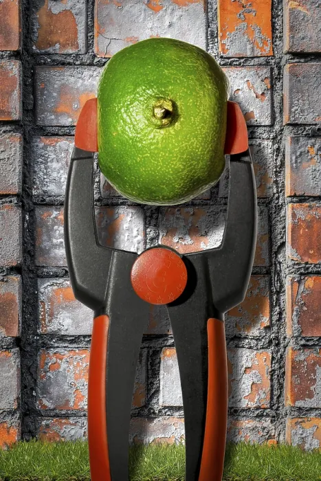Framed Print : Composition: to squeeze the orange dry € Print Framed Print : Composition: to squeeze the orange dry € Print