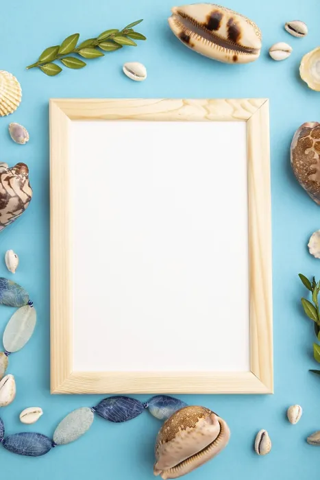 Framed Print : Composition with Wooden Frame, Seashells Print Framed Print : Composition with Wooden Frame, Seashells Print