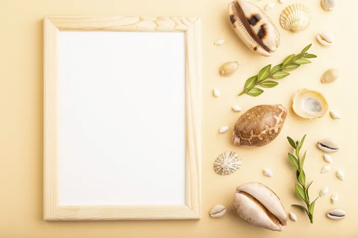 Framed Print : Composition with Wooden Frame, Seashells Print Framed Print : Composition with Wooden Frame, Seashells Print