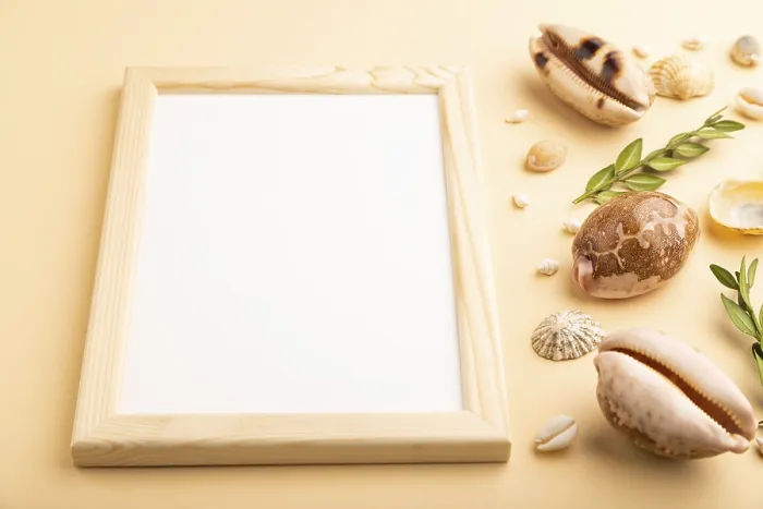 Framed Print : Composition with Wooden Frame, Seashells Print Framed Print : Composition with Wooden Frame, Seashells Print