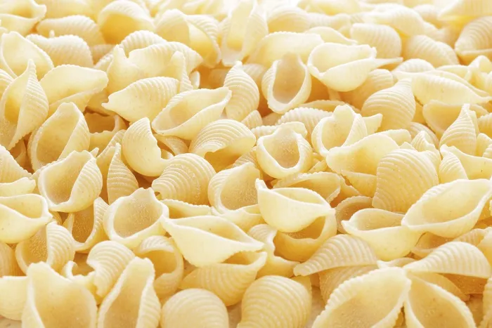 Framed Print : Conchigliette Pasta Shells Print Framed Print : Conchigliette Pasta Shells Print