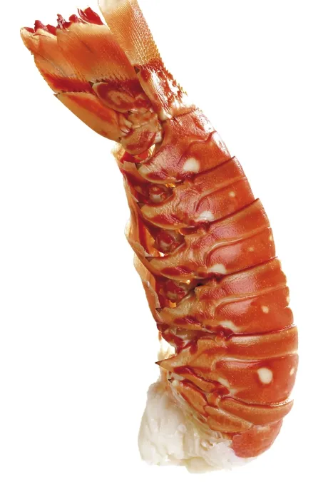 Framed Print : Print of Cooked Langouste Framed Print : Print of Cooked Langouste