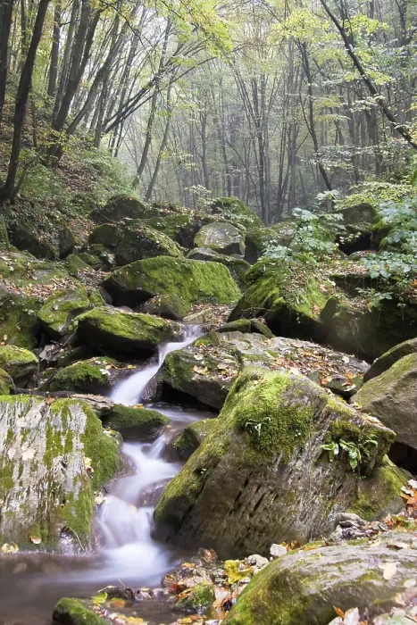 Framed Print : Cool Water Streaming Down Print Framed Print : Cool Water Streaming Down Print