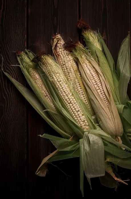 Framed Print : Rustic Dairy Corn Print - Top View Framed Print : Rustic Dairy Corn Print - Top View