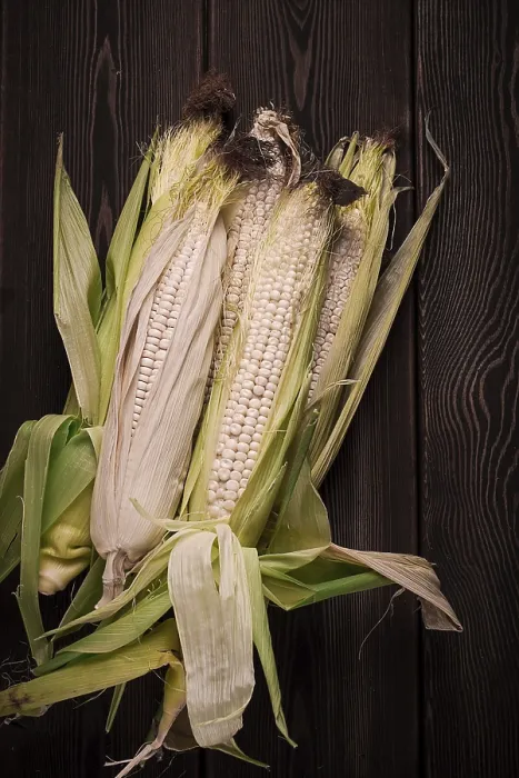 Framed Print : Rustic Corn Cobs Print, Top View