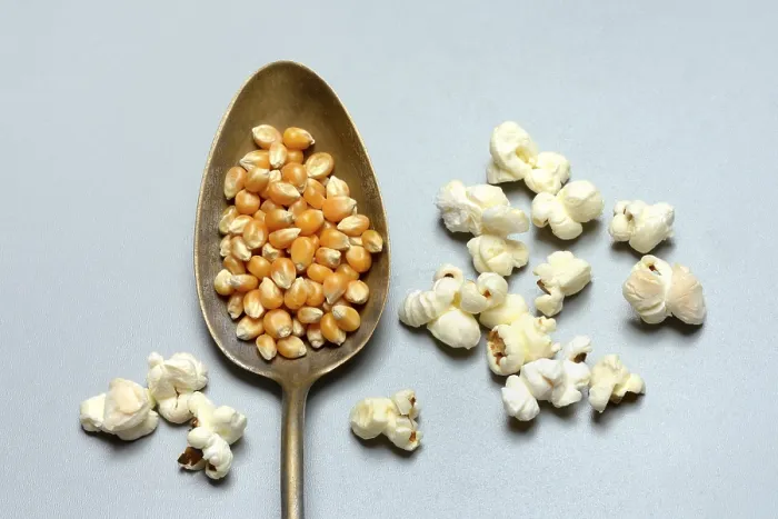 Framed Print : Popcorn Corn Kernels Print Framed Print : Popcorn Corn Kernels Print