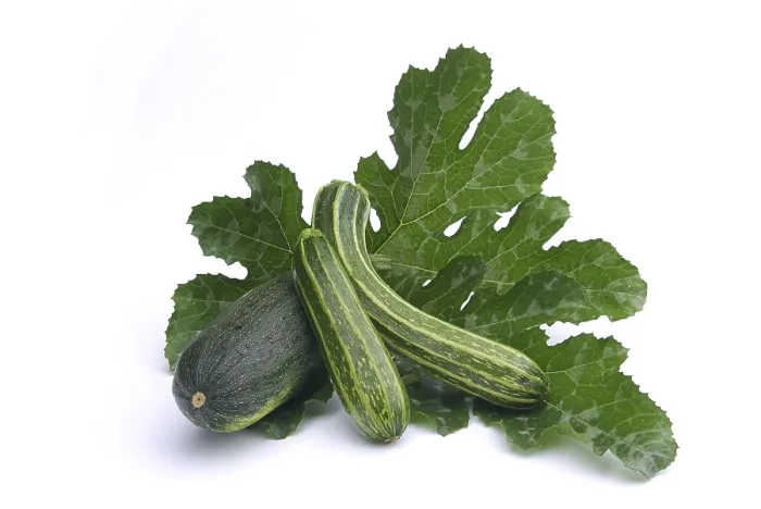 Framed Print : Courgette Print by ImageBROKER Framed Print : Courgette Print by ImageBROKER