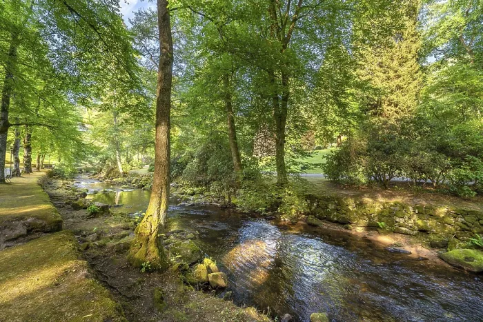 Framed Print : Black Forest River Enz Summer Print Framed Print : Black Forest River Enz Summer Print