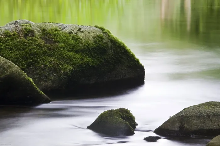 Framed Print : Course of Stream with Stones Print