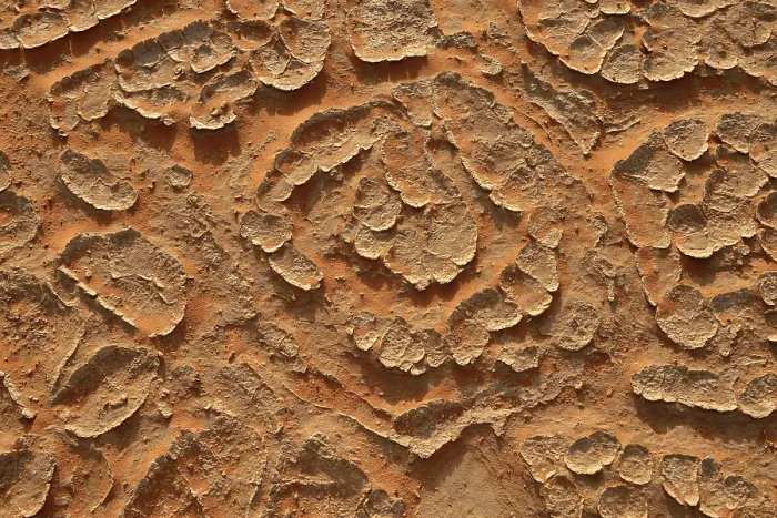 Framed Print : Cracked Mud Patterns Print, Sahara Desert, Algeria Framed Print : Cracked Mud Patterns Print, Sahara Desert, Algeria