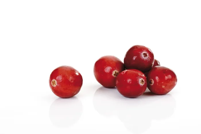 Framed Print : Cranberries Print by imageBROKER Framed Print : Cranberries Print by imageBROKER