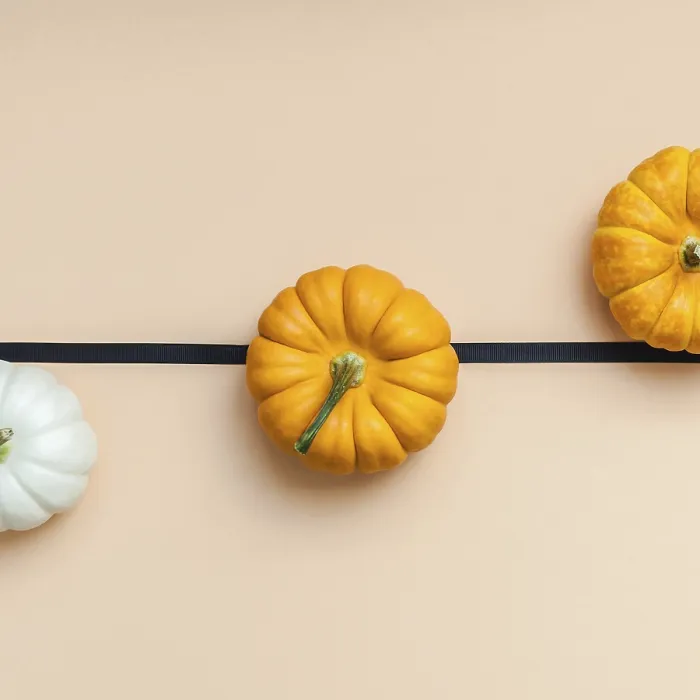 Framed Print : Autumn Print: Flat Lay Composition with Pumpkins and Colors Framed Print : Autumn Print: Flat Lay Composition with Pumpkins and Colors
