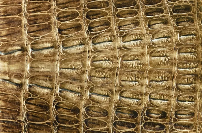 Framed Print : Crocodile Leather Print Framed Print : Crocodile Leather Print