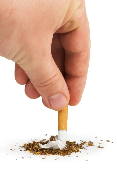Framed Print : Crumpled Cigarette and Tobacco Print Framed Print : Crumpled Cigarette and Tobacco Print