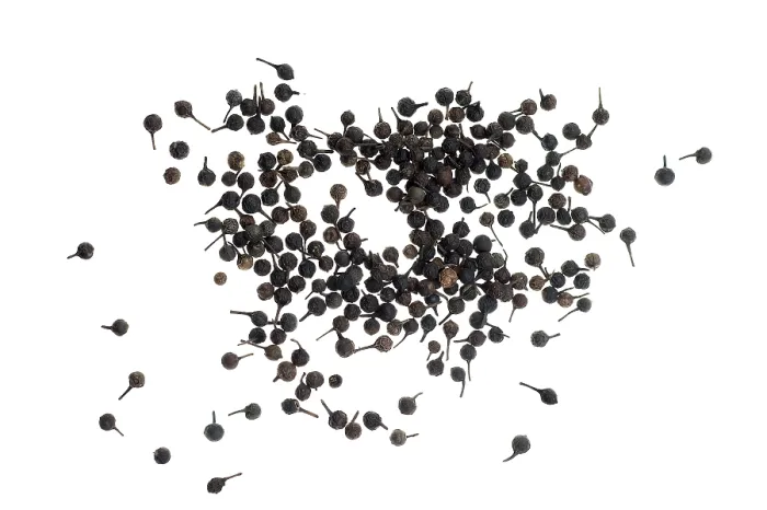 Framed Print : Cubeb, Tailed Pepper Print from Indonesia Framed Print : Cubeb, Tailed Pepper Print from Indonesia