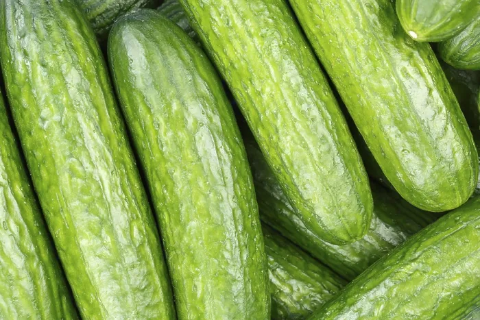 Framed Print : Cucumber Vegetable Print from Above Framed Print : Cucumber Vegetable Print from Above