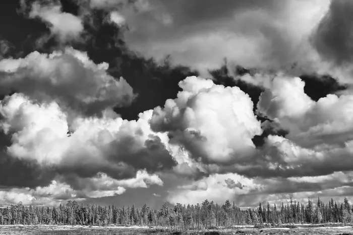 Framed Print : Cumulus Clouds over Forest, Muddus National Park Print Framed Print : Cumulus Clouds over Forest, Muddus National Park Print