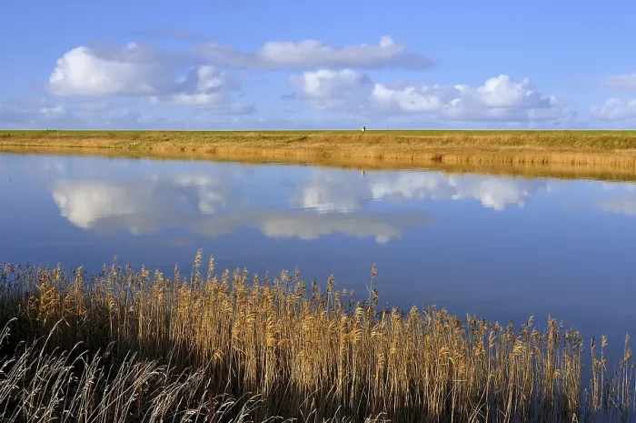 Framed Print : Cumulus Clouds Reflected in Water Print, Greetsiel, Germany Framed Print : Cumulus Clouds Reflected in Water Print, Greetsiel, Germany