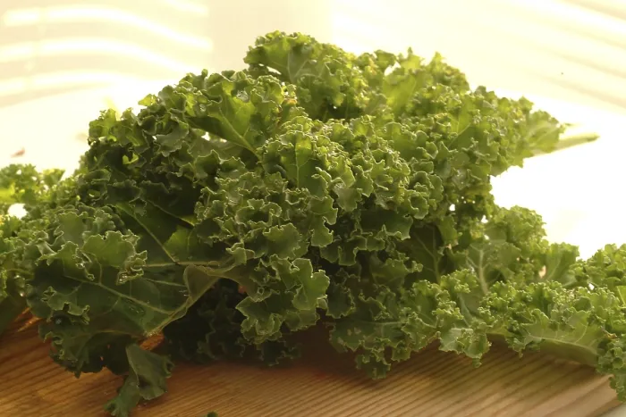 Framed Print : Curly Kale Print Framed Print : Curly Kale Print