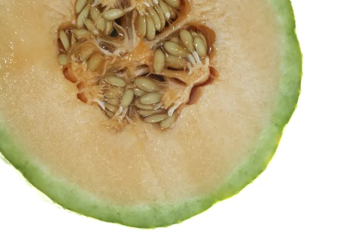 Framed Print : Cut Charentais Melon Print Framed Print : Cut Charentais Melon Print