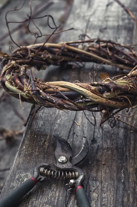 Framed Print : Hand-Twisted Grape Branch Crown Print Framed Print : Hand-Twisted Grape Branch Crown Print