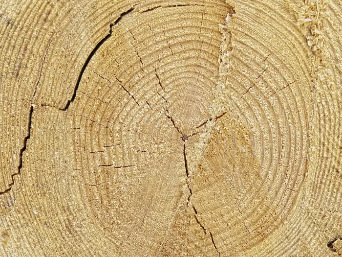 Framed Print : Cutoff Log Background Print from imageBROKER Framed Print : Cutoff Log Background Print from imageBROKER