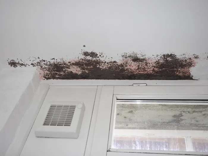 Framed Print : Dampness Moisture on Wall Print Framed Print : Dampness Moisture on Wall Print