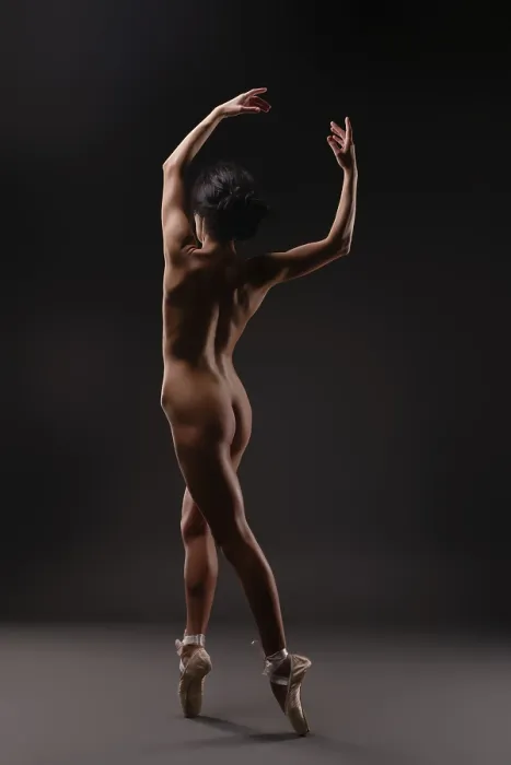 Framed Print : Elegant Ballet Dancer Print in Soft Light Framed Print : Elegant Ballet Dancer Print in Soft Light