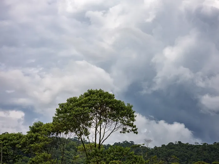 Framed Print : Dark Clouds Over Amazon Rainforest Print Framed Print : Dark Clouds Over Amazon Rainforest Print
