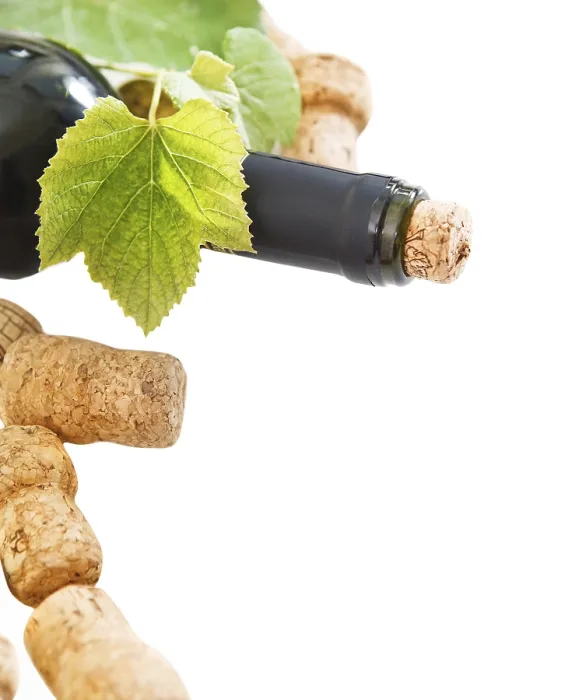 Framed Print : Vintage Wine Print with Corks and Bottle Framed Print : Vintage Wine Print with Corks and Bottle