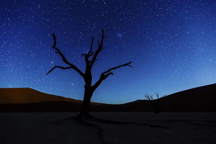Framed Print : Dead Tree in Starry Sky Print, Deadvlei, Namibia Framed Print : Dead Tree in Starry Sky Print, Deadvlei, Namibia