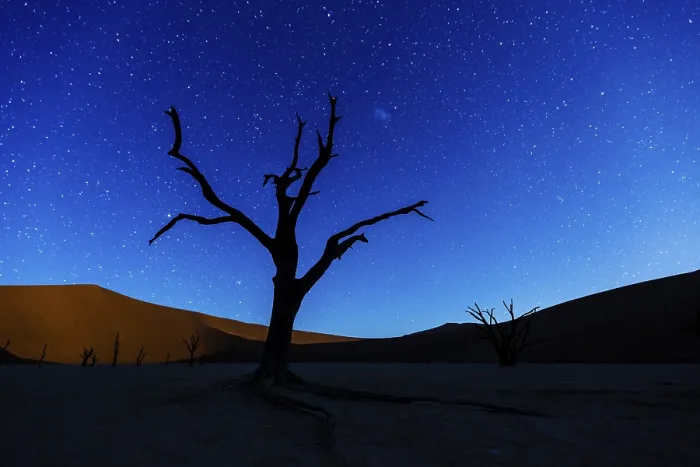 Framed Print : Dead Tree Print: Deadvlei Landscape Framed Print : Dead Tree Print: Deadvlei Landscape