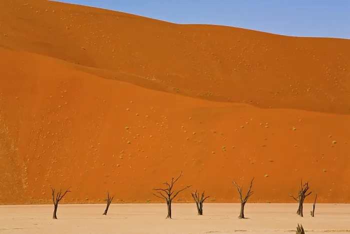 Framed Print : Deadvlei Landscape Print, Namibia Framed Print : Deadvlei Landscape Print, Namibia