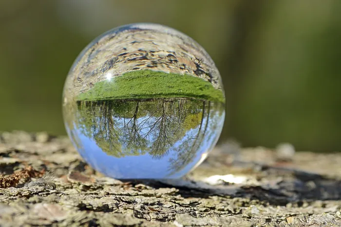 Framed Print : Deciduous Trees in Spring Glass Sphere Print Framed Print : Deciduous Trees in Spring Glass Sphere Print