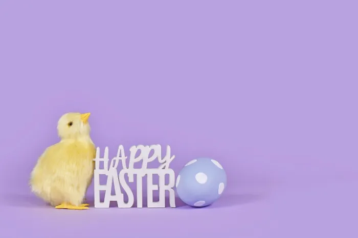 Framed Print : Decorative Easter Chick Print with Violet Background Framed Print : Decorative Easter Chick Print with Violet Background