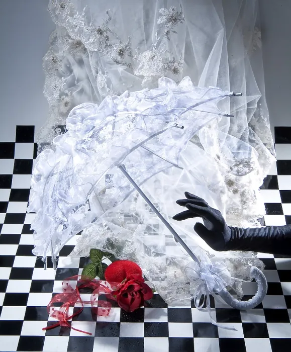 Framed Print : Decorative Elements Print on Checkered Background Framed Print : Decorative Elements Print on Checkered Background