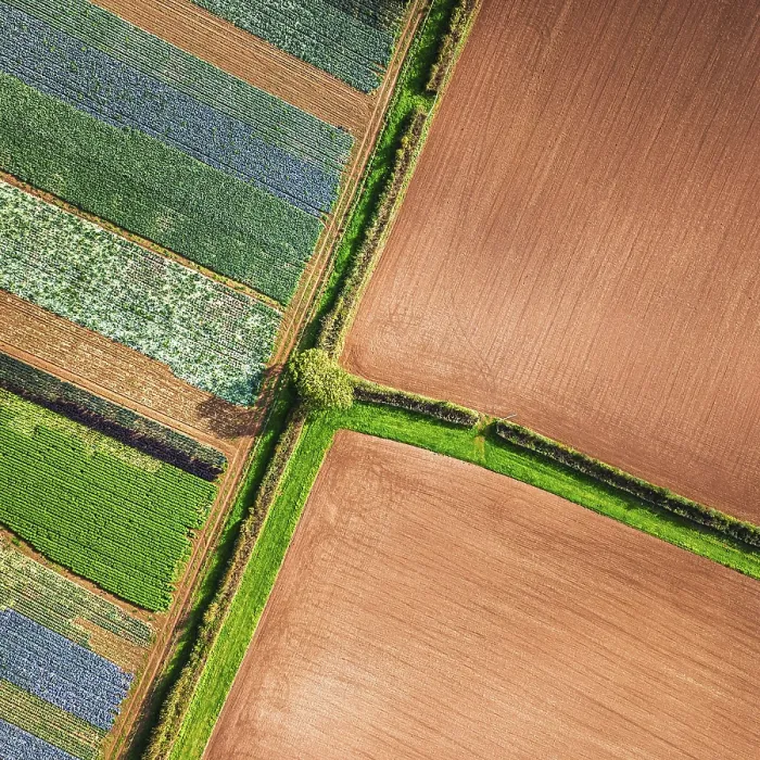 Framed Print : Devon Drone View Print, England
