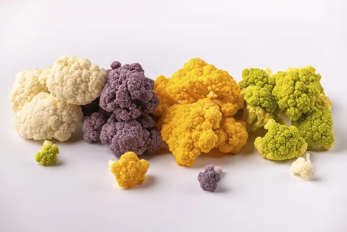 Framed Print : Different Colored Cauliflower Print on Light Background Framed Print : Different Colored Cauliflower Print on Light Background