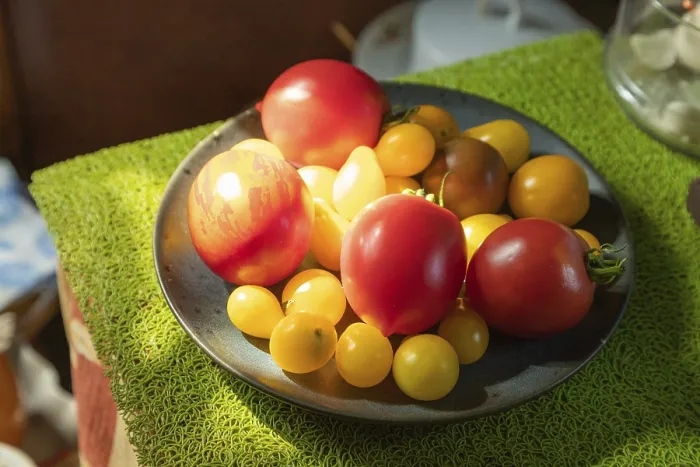Framed Print : Different Tomatoes Ceramic Plate Print in Natural Light Framed Print : Different Tomatoes Ceramic Plate Print in Natural Light