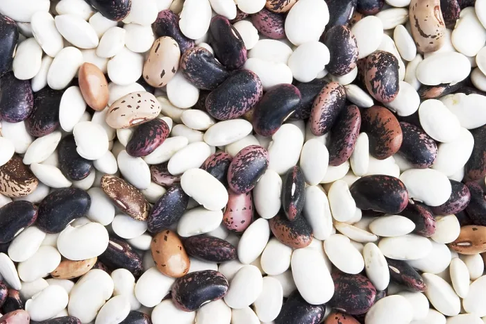 Framed Print : Dried Beans Print Collection Framed Print : Dried Beans Print Collection