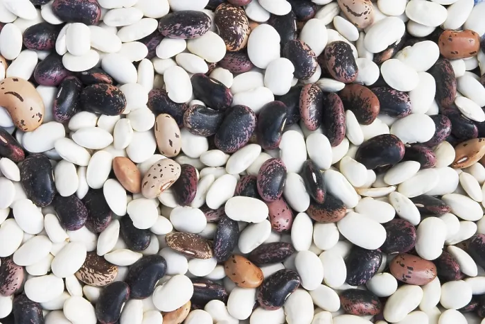 Framed Print : Dried Beans Print - Various Types Framed Print : Dried Beans Print - Various Types