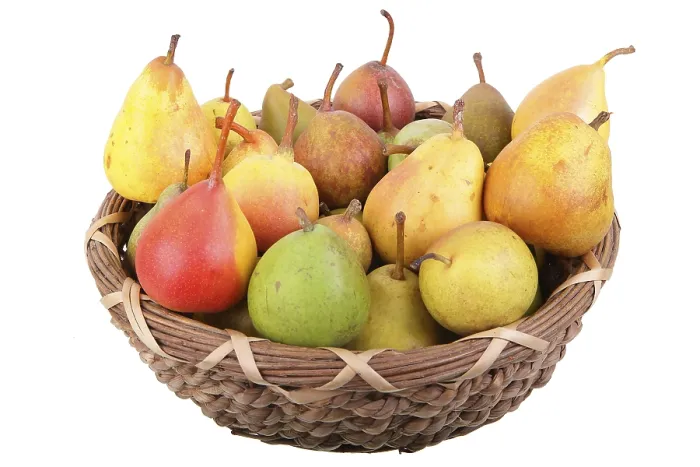 Framed Print : Different Pears in a Wicker Basket Print Framed Print : Different Pears in a Wicker Basket Print