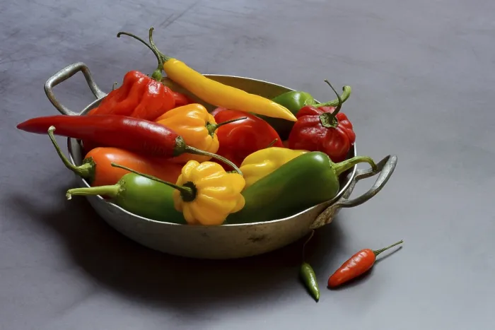 Framed Print : Different types of peppers in shell, Germany Print Framed Print : Different types of peppers in shell, Germany Print