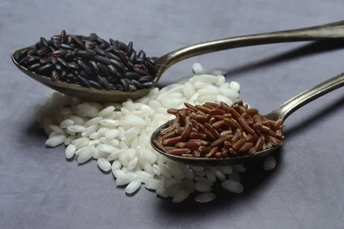 Framed Print : Rice Varieties Print, Germany